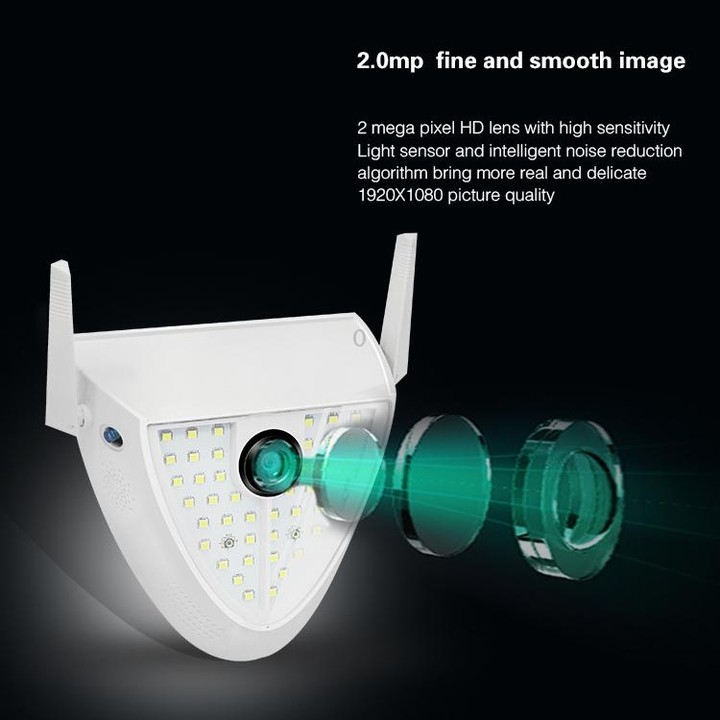 DP16 2.0 Megapixel 42 LEDs Garden Light Smart Camera, Support Motion Detection / Night Vision / Voice Intercom / TF Card, AU Plu