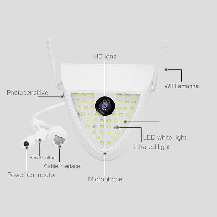 DP16 2.0 Megapixel 42 LEDs Garden Light Smart Camera, Support Motion Detection / Night Vision / Voice Intercom / TF Card, AU Plu