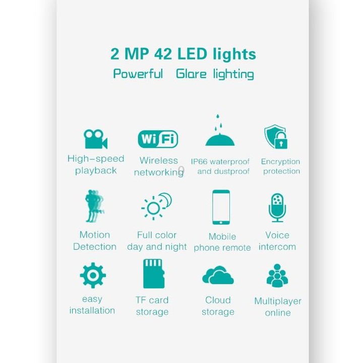 DP16 2.0 Megapixel 42 LEDs Garden Light Smart Camera, Support Motion Detection / Night Vision / Voice Intercom / TF Card, UK Plu