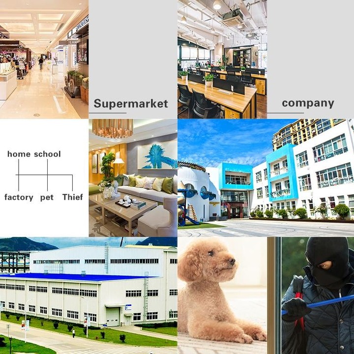 DP16 2.0 Megapixel 42 LEDs Garden Light Smart Camera, Support Motion Detection / Night Vision / Voice Intercom / TF Card, US Plu