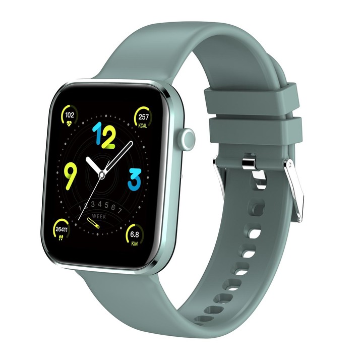 Z15 1.69 inch Touch Screen IP67 Waterproof Smart Watch, Support Blood Pressure Monitoring / Sleep Monitoring / Heart Rate Monito