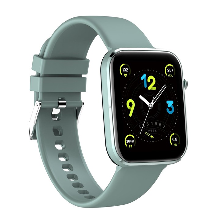 Z15 1.69 inch Touch Screen IP67 Waterproof Smart Watch, Support Blood Pressure Monitoring / Sleep Monitoring / Heart Rate Monito