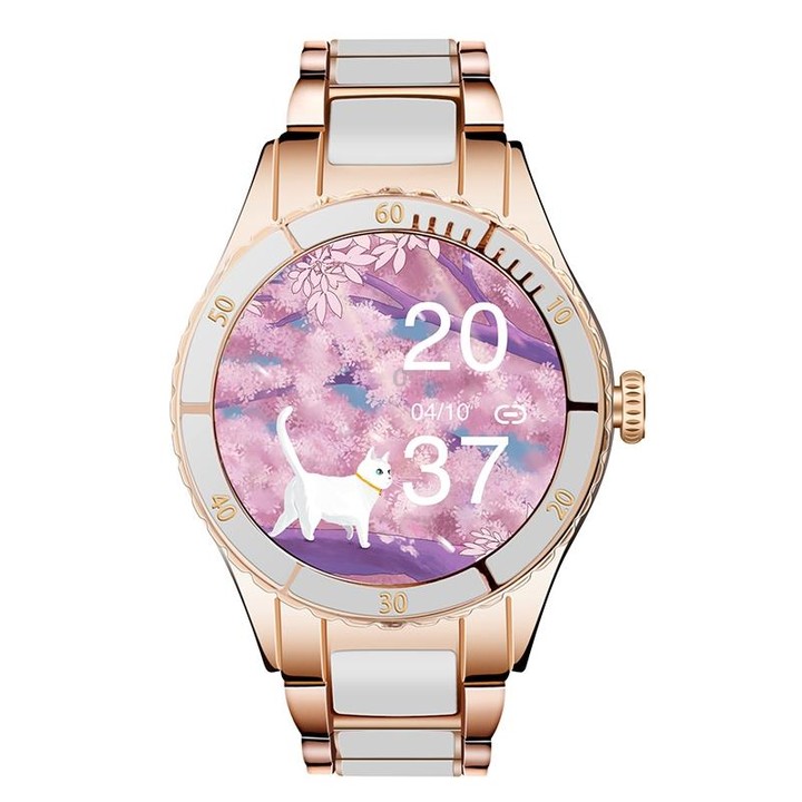 Z73 1.09 inch Touch Screen Smart Bracelet, Support Sleep Monitoring / Heart Rate Monitoring / Voice Control / Women Menstrual Cy