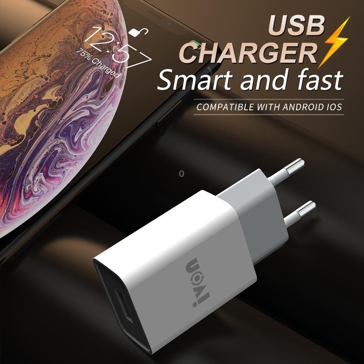 IVON AD-33 2 in 1 2.1A Single USB Port Travel Charger + 1m USB to Micro USB Data Cable Set, EU Plug(White)
