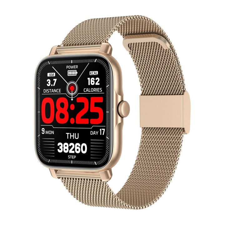 G30 1.69 inch TFT Screen Smart Watch, Steel Bnad IP67 Waterproof Support Bluetooth Call / Multiple Sports Modes(Gold)