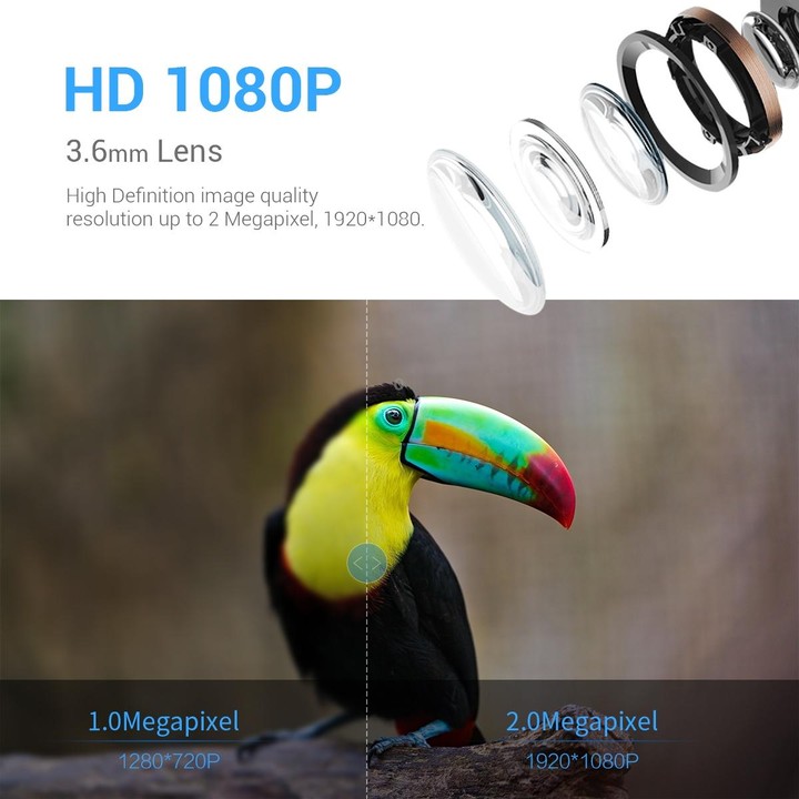ESCAM PT389 IP66 Waterproof 2MP PIR Motion Detection Two-way Audio Night Vision WiFi Camera with AI Bird Recognition Bird Watchi