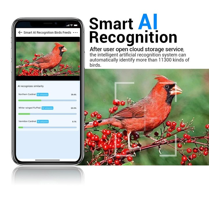 ESCAM PT389 IP66 Waterproof 2MP PIR Motion Detection Two-way Audio Night Vision WiFi Camera with AI Bird Recognition Bird Watchi