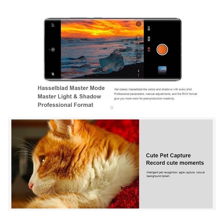 OPPO Find X7 AI Phone, 16GB+1TB, Screen Fingerprint, 6.78 inch ColorOS 14.0 Dimensity 9300 Octa Core up to 3.25GHz, OTG, NFC, Ne