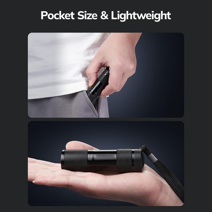 Mini 9 LEDs 395nm Ultraviolet Ray Detection Flashlight(Black)
