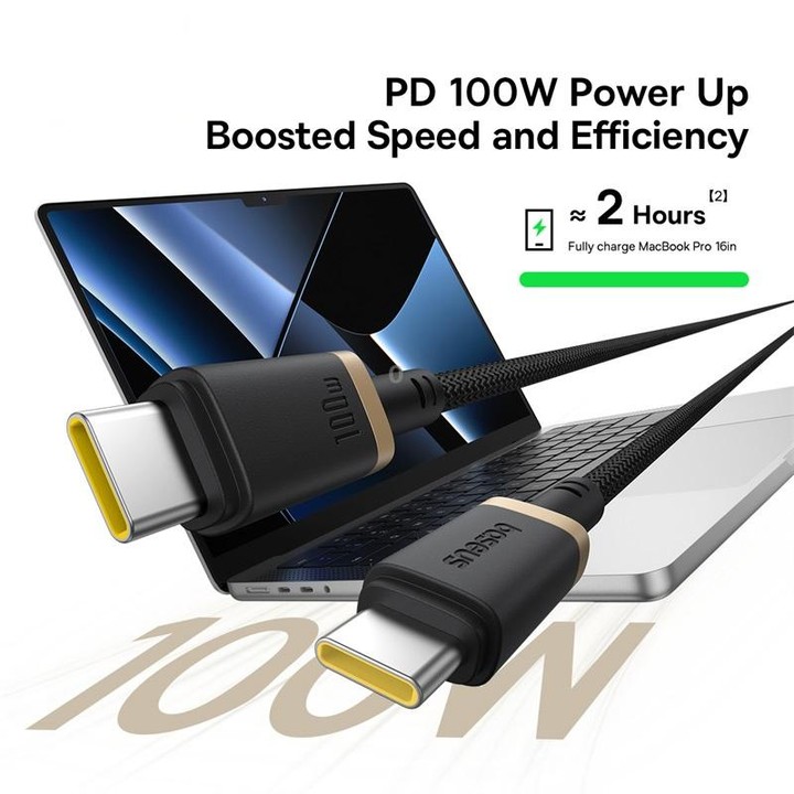 Baseus Dura Series USB-C / Type-C to USB-C / Type-C 100W Fast Charging Cable, Length:2m(Gold Black)