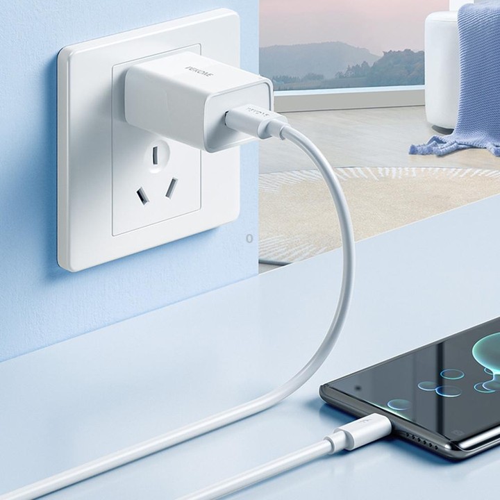 WK WDC-22 Origin All Compatible 1m 120W USB to Type-C Fast Charging Data Cable(White)