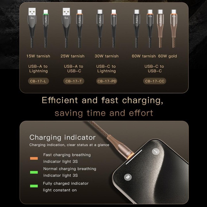 TOTU CB-17-CC 60W USB-C / Type-C to Type-C Smart Power-off Data Cable, Length:1.2m(Tarnish)