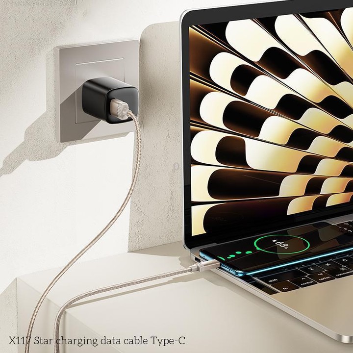 hoco X117 1m Star Fast Charging Data Cable, Interface:USB to Type-C(Black)