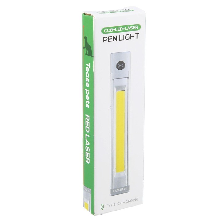 DXC-512 Multifunctional Pen Lamp Work Flashlight with Red Laser Light(Silver)