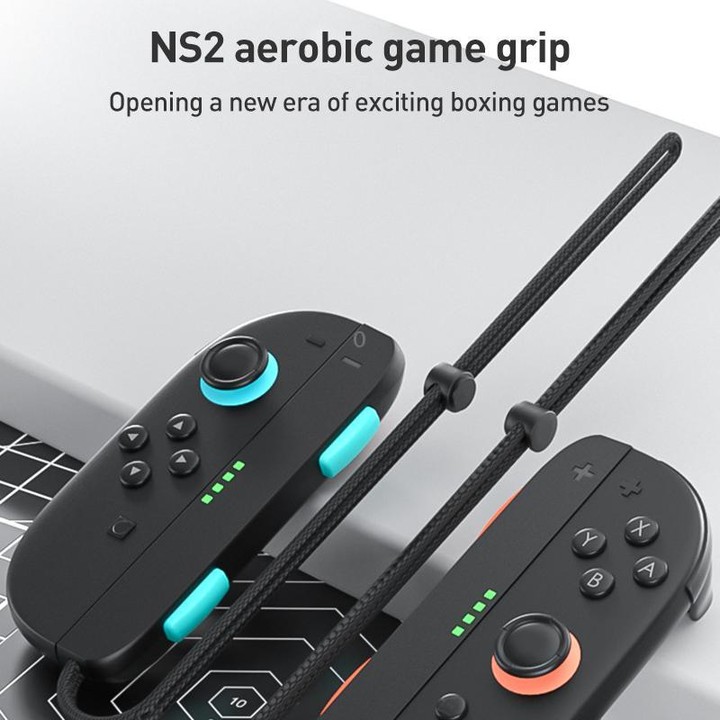For Nintendo Switch 2 Joy-Con 1pair iPlay HBS-2818 Left and Right Handle Straps(Black)