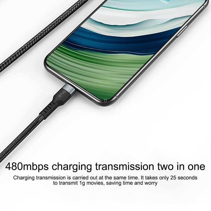 IVON CA88 12W 2.4A USB to USB-C / Type-C Nylon Braid Fast Charge Data Cable, Cable Length: 1m(Black)