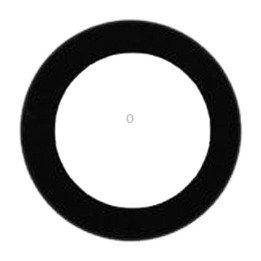 Back Camera Lens for iPad 9.7 (2017 / 2018)