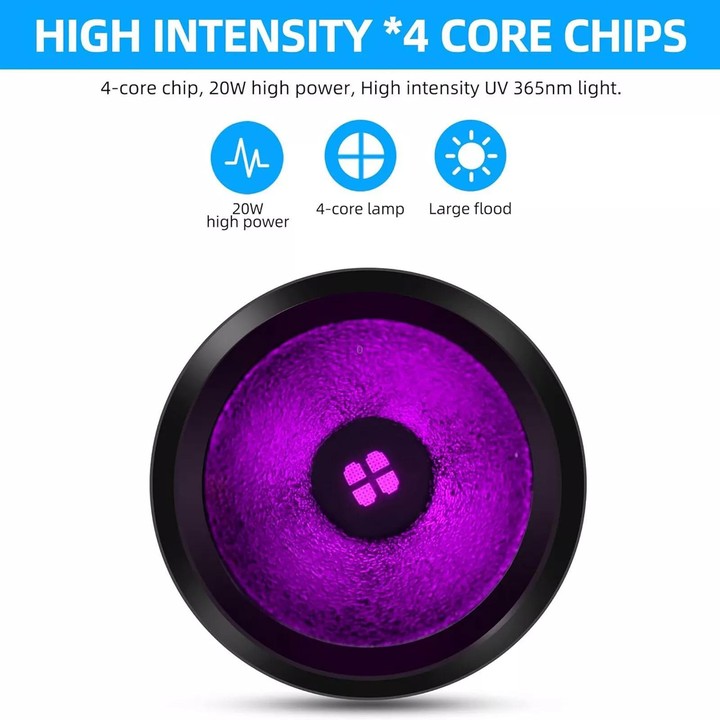 B14 40W 365nm Black Lens UV Rays Flashlight