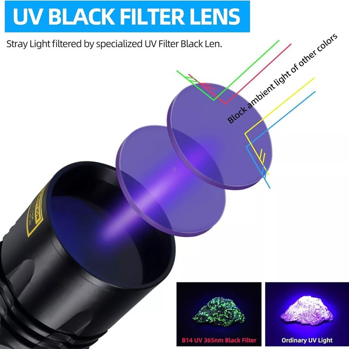 B14 40W 365nm Black Lens UV Rays Flashlight