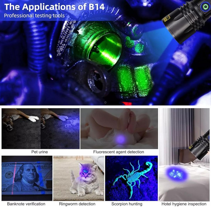 B14 40W 365nm Black Lens UV Rays Flashlight