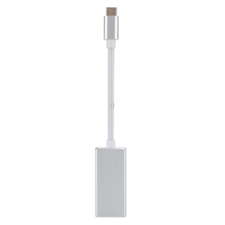 USB-C / Type-C 3.1 Male to Mini DP Female HD Converter, Length: 12cm(Silver)