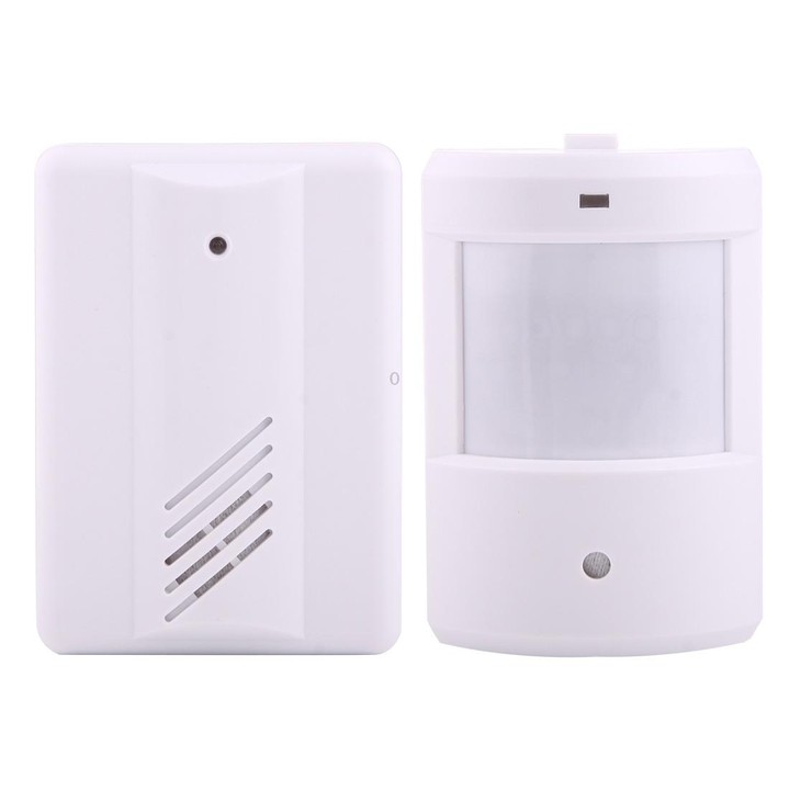 YF-0155 Good Safe Wireless Electro Guard Watch Remote Detective System Kit for Home Office, 1 x Receiver + 1 x Detector