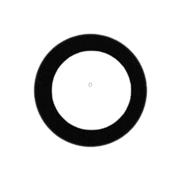Back Camera Lens for iPad mini 3 / mini 4 / mini (2019)