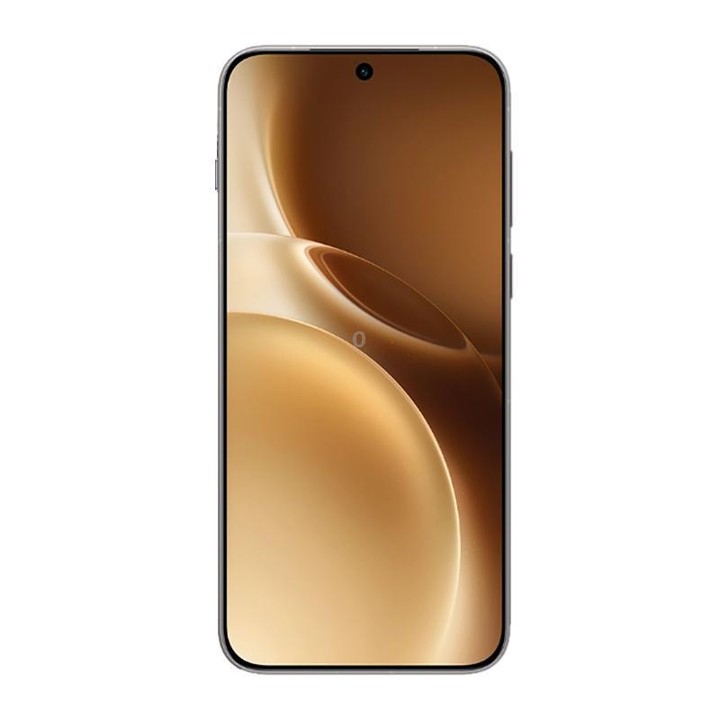 vivo X300 Pro, 16GB+1TB, 6.78 inch OriginOS 6 Android 16 Dimensity 9500 Octa Core, OTG, NFC, Network: 5G (Brown)