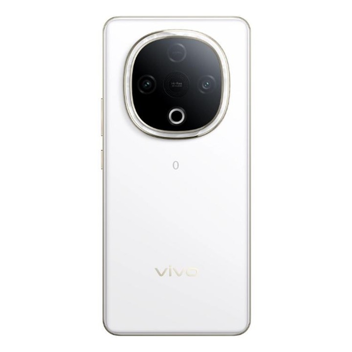 vivo Y300, 8GB+128GB, Face ID / Screen Fingerprint Identification, 6.77 inch Android 15 OriginOS 5 Dimensity 6300 Octa Core, OTG