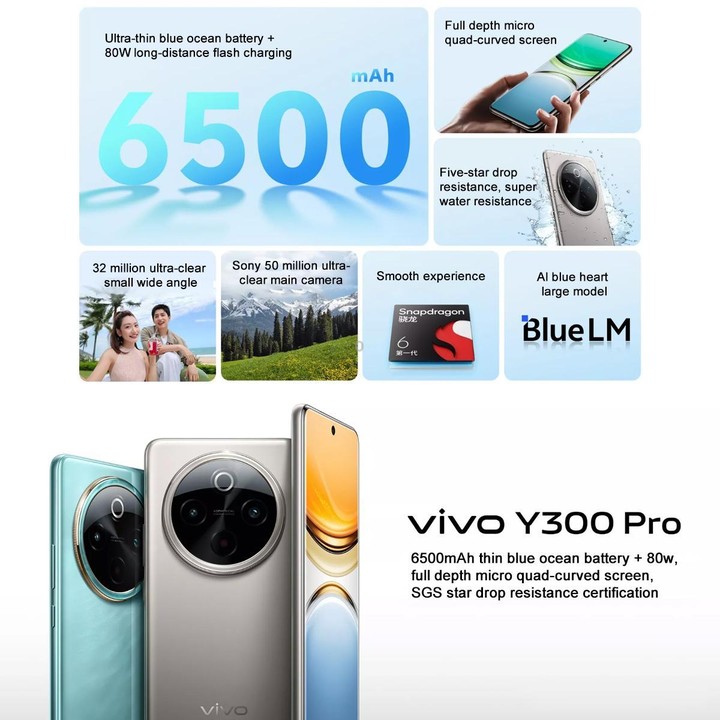 vivo Y300 Pro, 12GB+256GB, Face ID / Screen Fingerprint Identification, 6.77 inch Android 14 OriginOS 4 Snapdragon 6 Gen 1 Octa