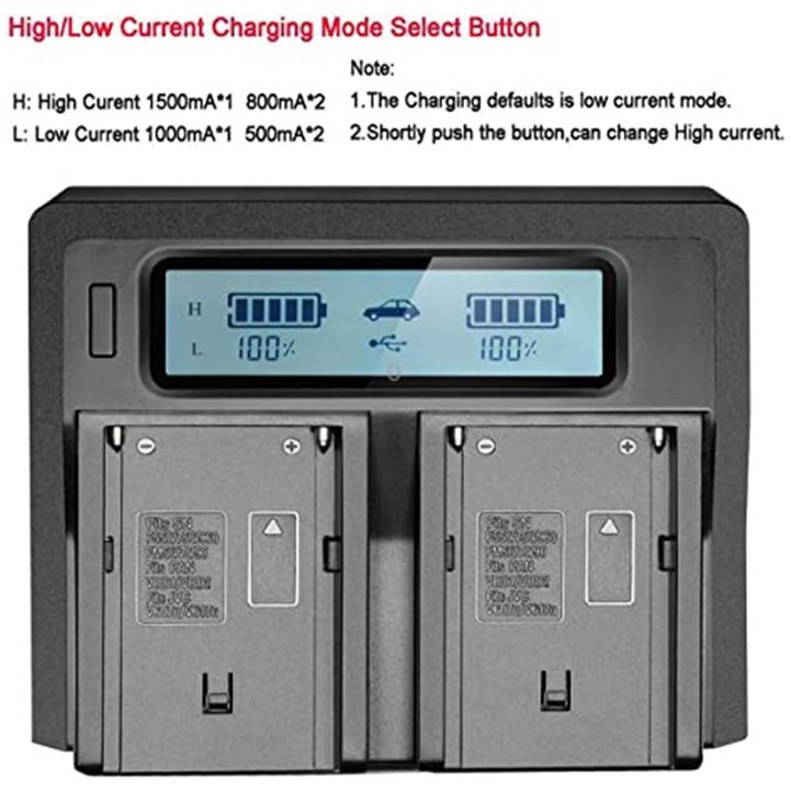 Dual Channel LCD Display Digital Battery Charger with USB Port for Sony BP-U30 / U60 / U90 Battery, Compatible with Sony EX260 /