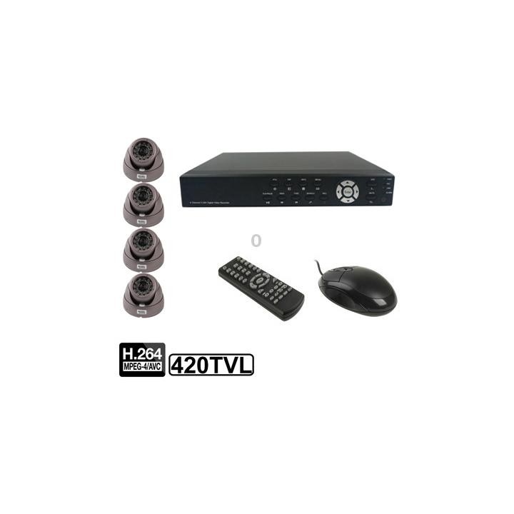 4-CH Embedded Digital Video Recorder Kit (1 / 3 Sony CCD, 420TVL, 24 x IR LED, 6mm Lens, IR Distance: 25m, H.264 (8204EV+622A)