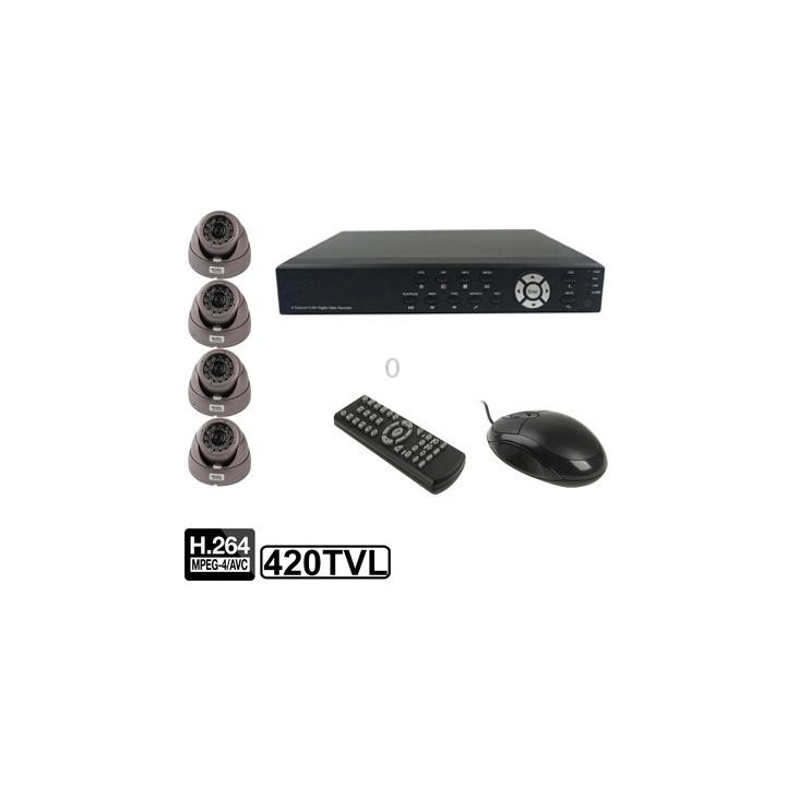 4-CH Embedded Digital Video Recorder Kit (1 / 3 Sharp CCD, 420TVL, 24 x IR LED, 6mm Lens, IR Distance: 25m, H.264 (8204EV+622A)