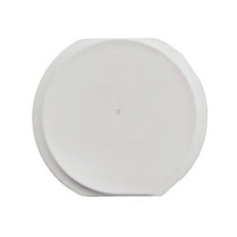 Home Button for iPad Air / iPad 5(White)