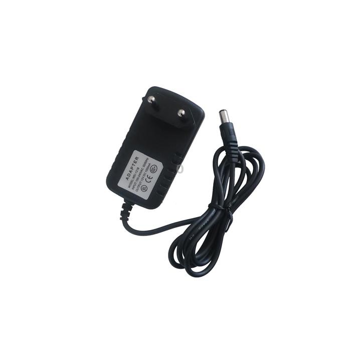 EU Plug AC Adapter 12V 1000mA for CCD Cameras(Black)