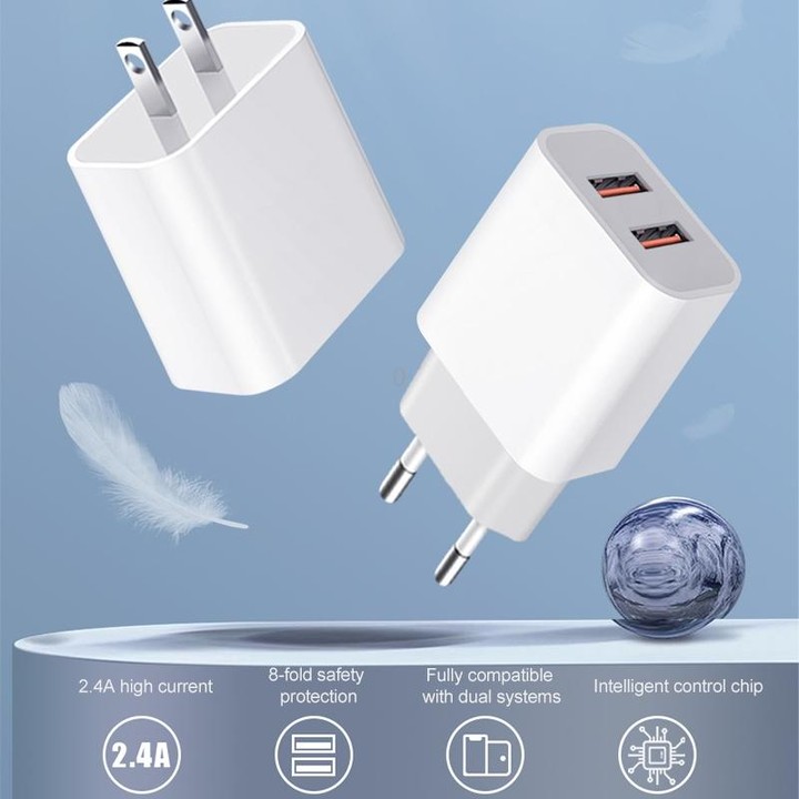 M117 2.4A Dual USB Port Flash Charger Travel Charger, US Plug