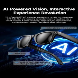 W610 Smart Glasses, Support AI Photo Recognition / AI Smart Translation / Bluetooth Call(Black)