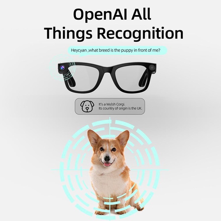 G300 Smart Glasses, Support AI Translation / Take Photos / Voice Calls(Black)