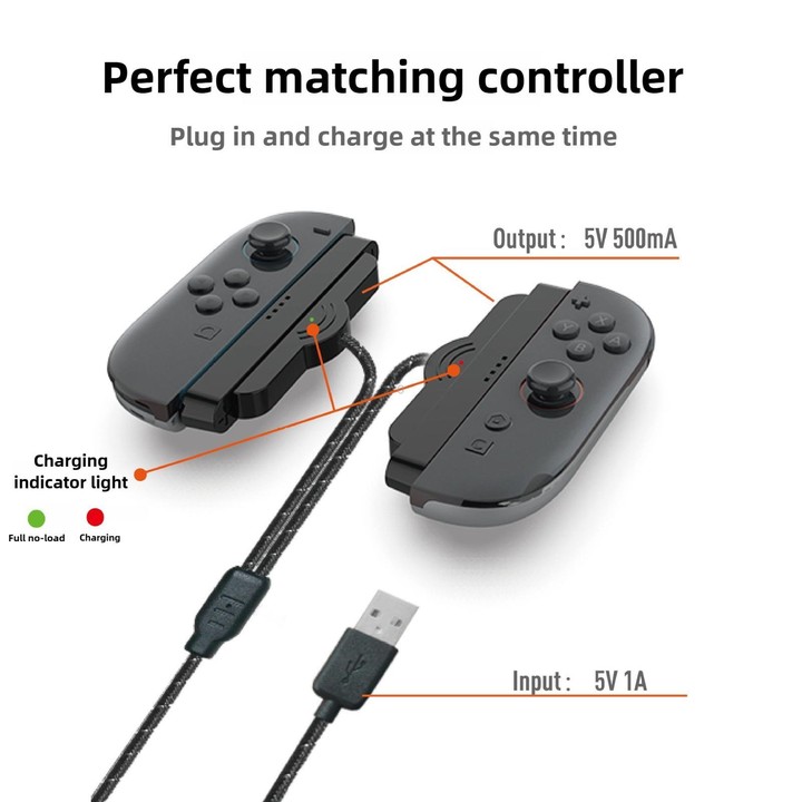 For Nintendo Switch 2 Left and Right Handles Dual Charging Cable