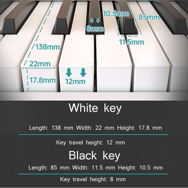 Wersi 88-Key Foldable Portable Electronic Piano Keyboard For Beginners Practice Piano, USB(White)