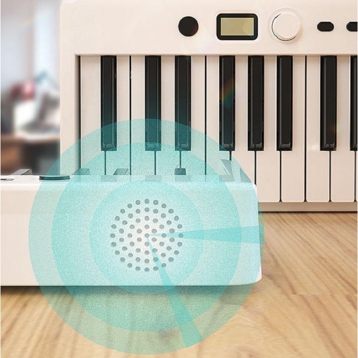 Wersi 88-Key Foldable Portable Electronic Piano Keyboard For Beginners Practice Piano, USB(White)