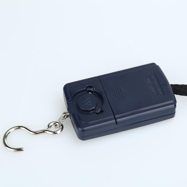 10g Mini Digital Fishing Scale Travel Weighting Steelyard Hanging Electronic Hook Scale Kitchen Weight Tool, Capacity:40kg witho