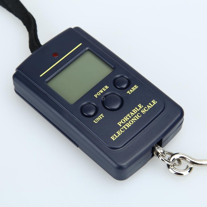 10g Mini Digital Fishing Scale Travel Weighting Steelyard Hanging Electronic Hook Scale Kitchen Weight Tool, Capacity:40kg witho