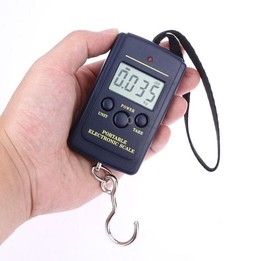 10g Mini Digital Fishing Scale Travel Weighting Steelyard Hanging Electronic Hook Scale Kitchen Weight Tool, Capacity:40kg witho