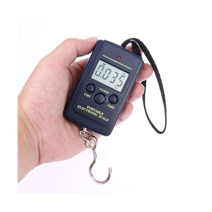 10g Mini Digital Fishing Scale Travel Weighting Steelyard Hanging Electronic Hook Scale Kitchen Weight Tool, Capacity:40kg witho