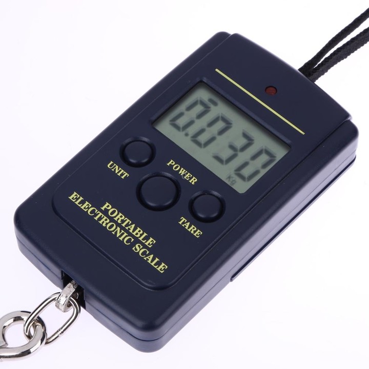 10g Mini Digital Fishing Scale Travel Weighting Steelyard Hanging Electronic Hook Scale Kitchen Weight Tool, Capacity:40kg with
