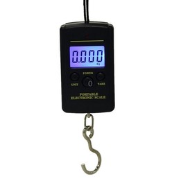 10g Mini Digital Fishing Scale Travel Weighting Steelyard Hanging Electronic Hook Scale Kitchen Weight Tool, Capacity:40kg with