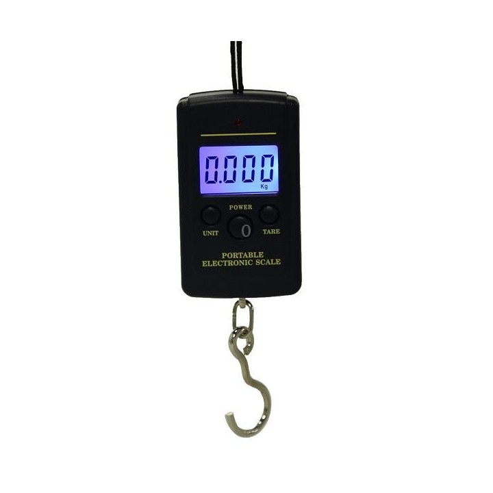 10g Mini Digital Fishing Scale Travel Weighting Steelyard Hanging Electronic Hook Scale Kitchen Weight Tool, Capacity:40kg with
