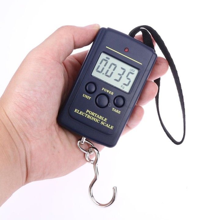 10g Mini Digital Fishing Scale Travel Weighting Steelyard Hanging Electronic Hook Scale Kitchen Weight Tool, Capacity:40kg with