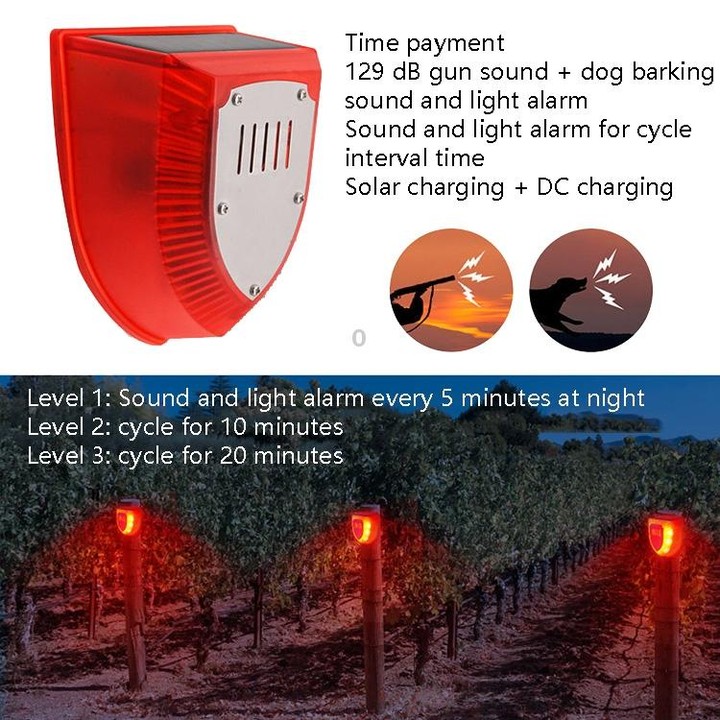 N911M Solar Animal Repeller Outdoor Sound And Light Alarm, Specification: Timing Model